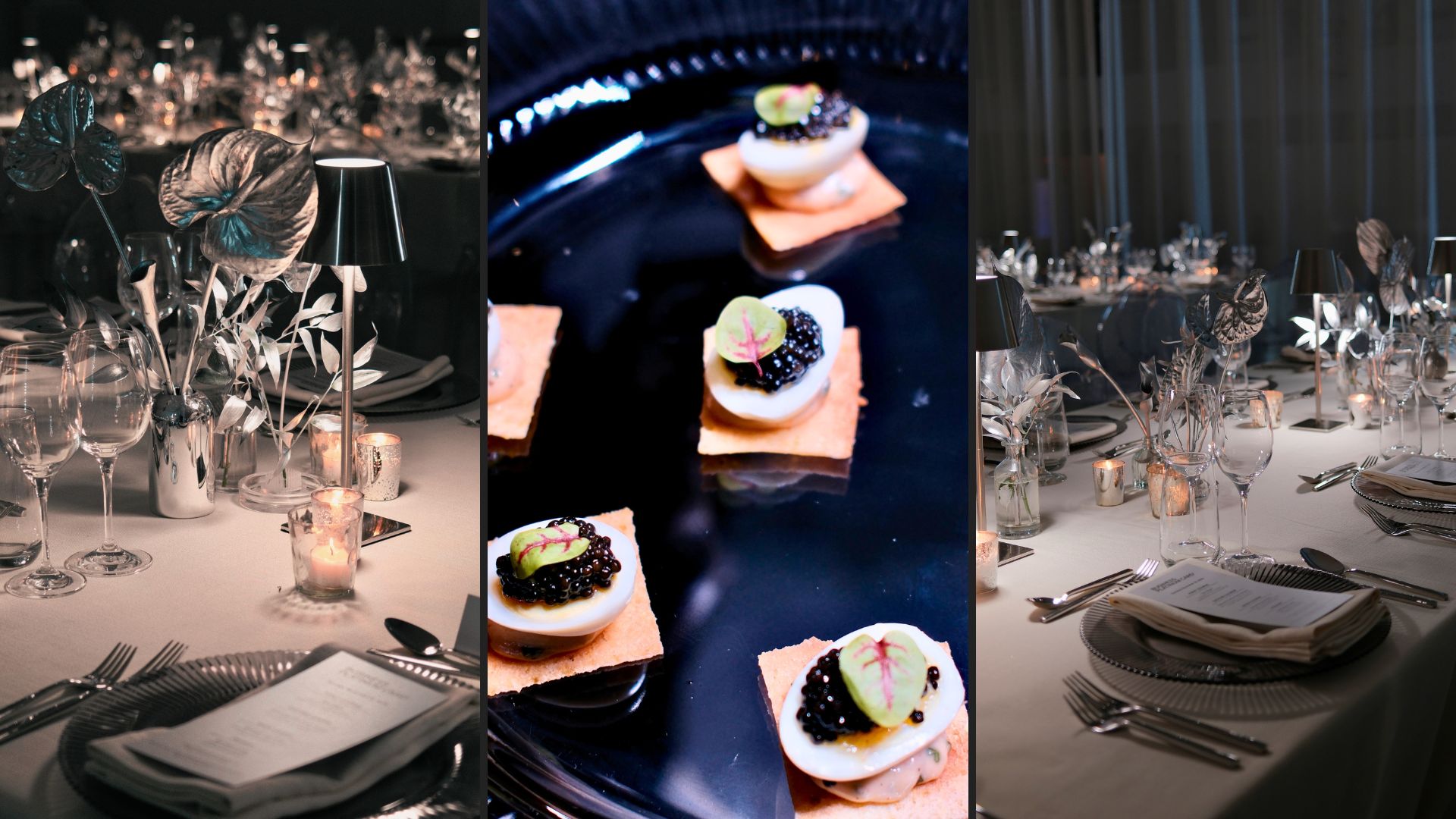 Newsletter Photos (5)